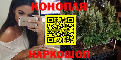 apvp Будённовск